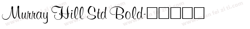 Murray Hill Std Bold字体转换